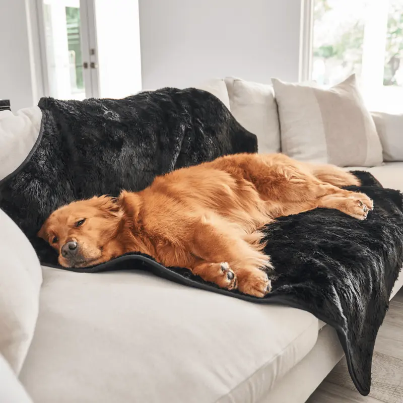 PupProtector Short Fur Waterproof Throw Blanket - Midnight Black
