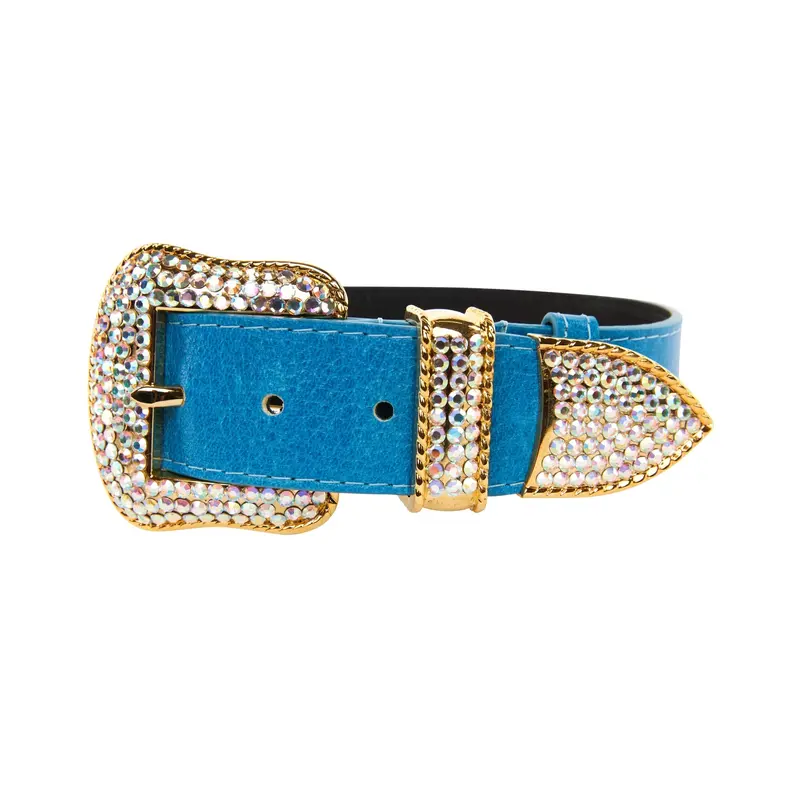 Vegetable Colored Italian Leather Collar With Gold Swarovski Crystal Hardware