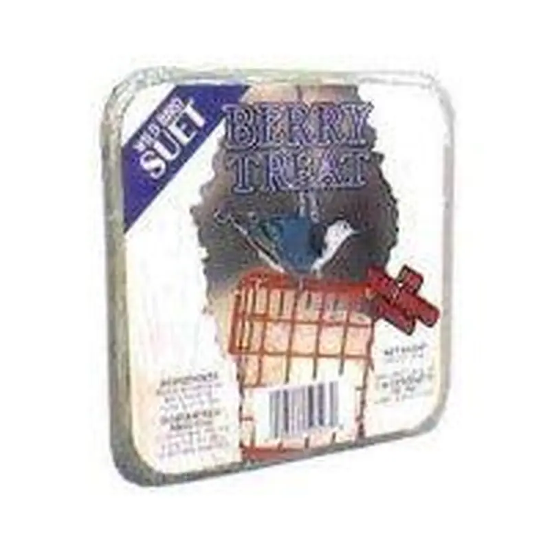 C&S Suet for wild Birds 11oz Berry Treat