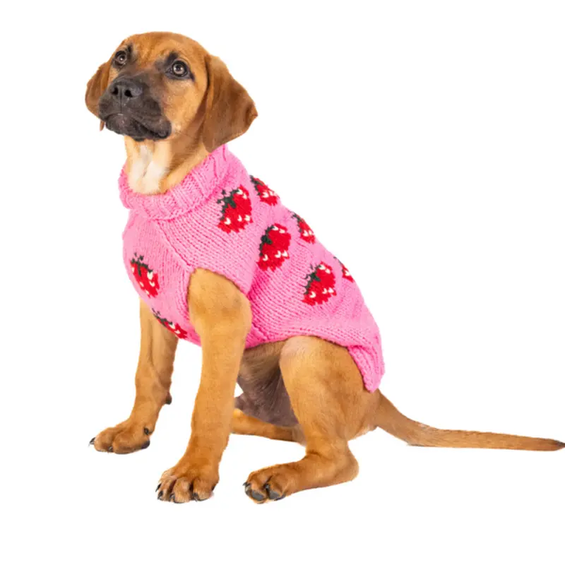 Strawberry Dog Sweater