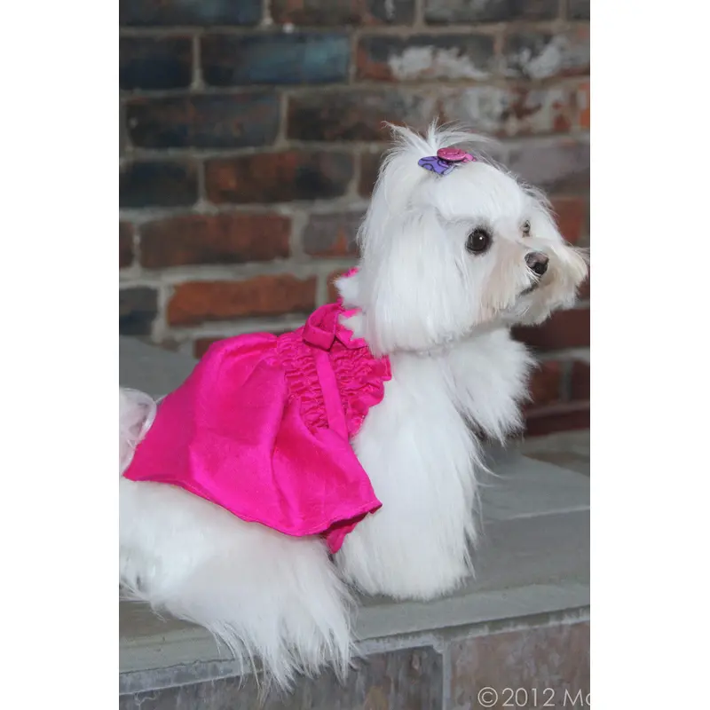 The Tiffany Hot Pink Silk Dog Dress