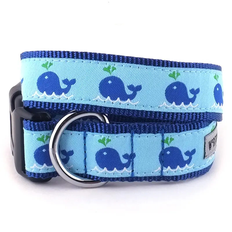 Squirt Collar & Lead Collection