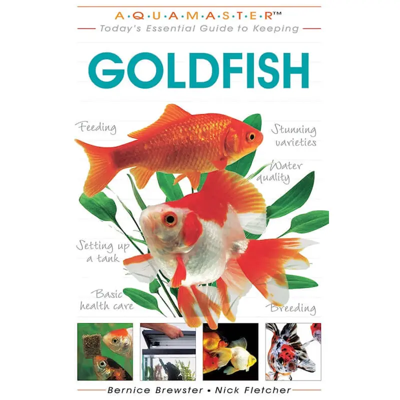 Goldfish