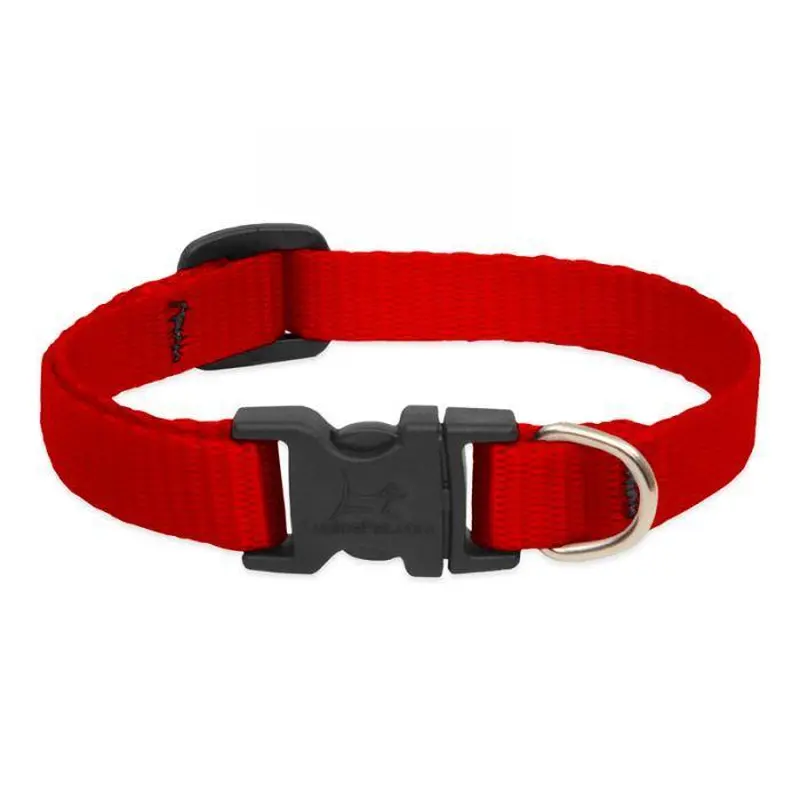 Lupine Collar 10-16 Adj Red