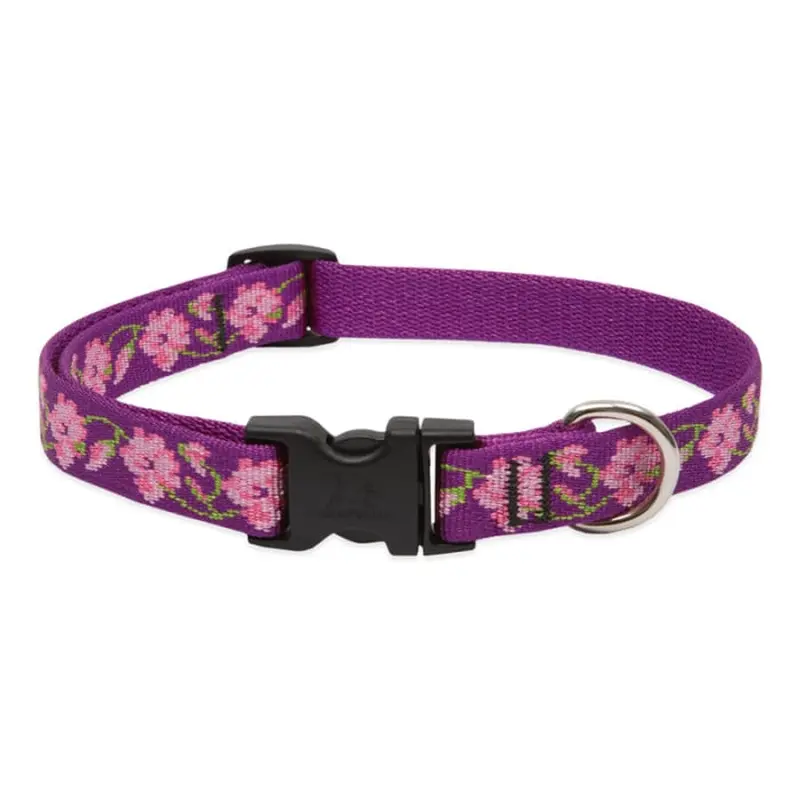Lupine Pet Dog 2/4 In Wide 9-14 In Adjustable Collar Original Designs Rose Garden