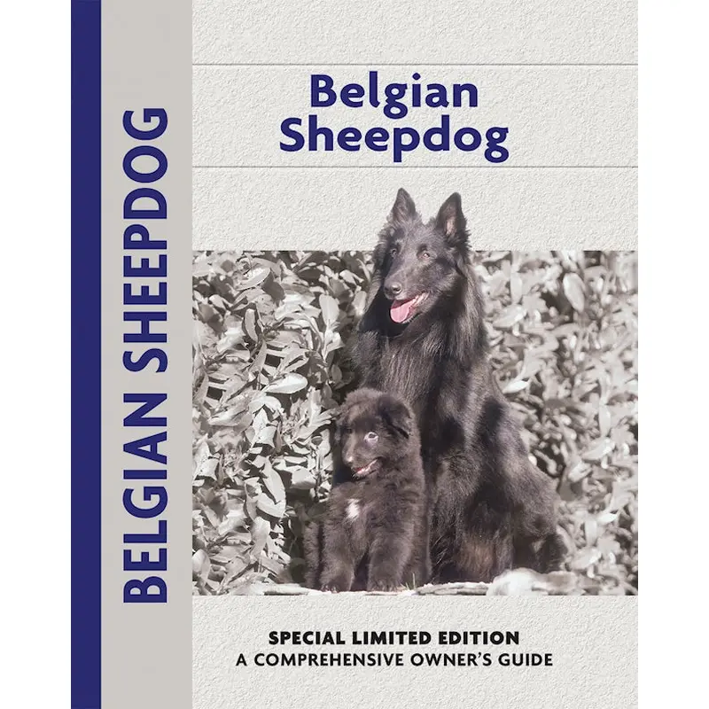 Belgian Sheepdog