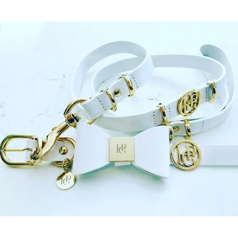 Leather Dog Lead - Snow Drop/Yellow Gold