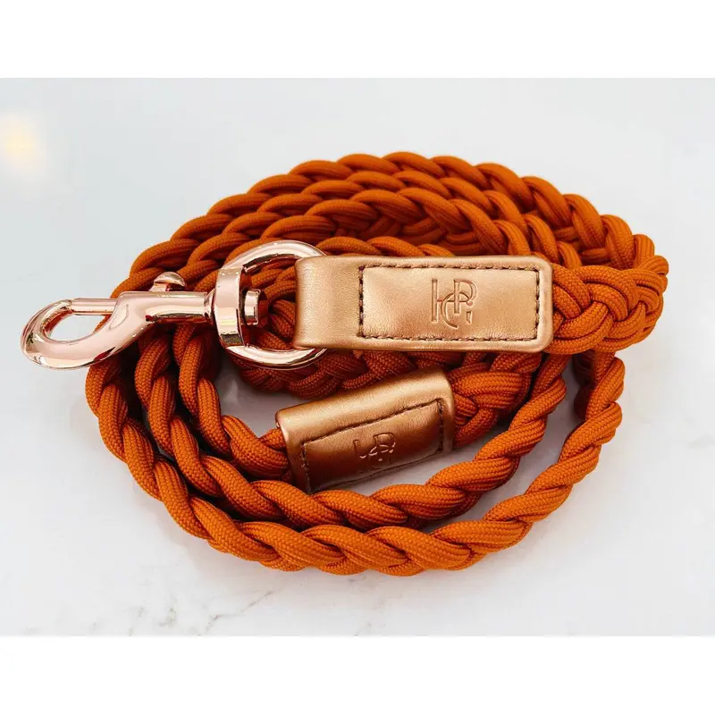 NEW - Dog Lead Cinnamon Rust Plaited