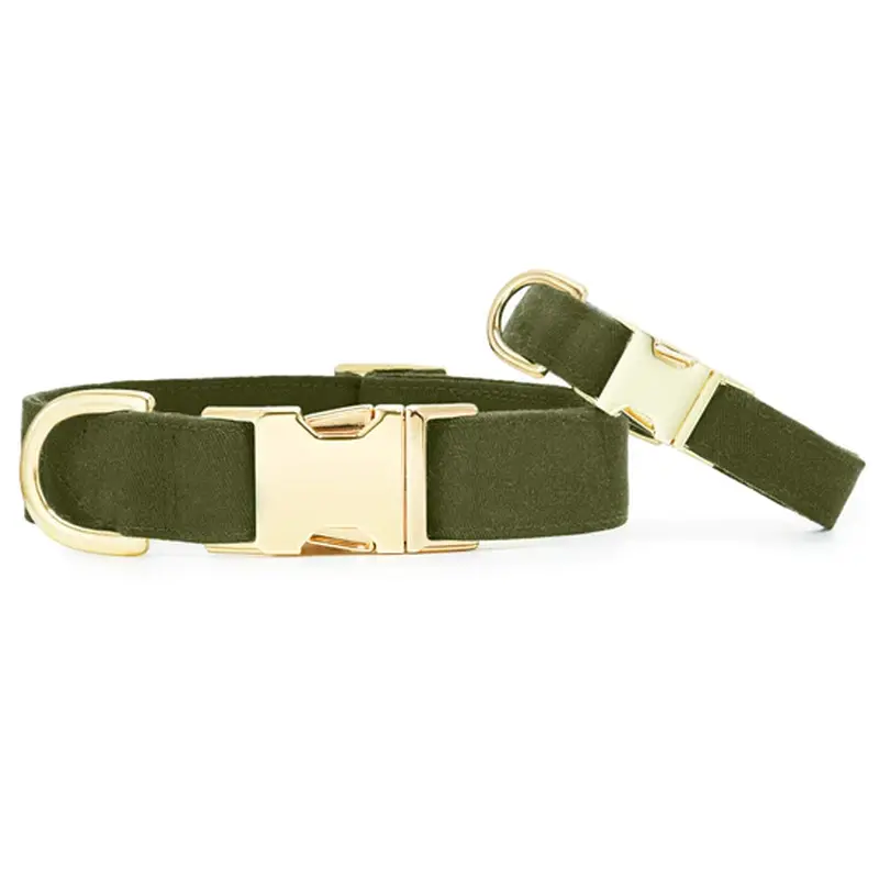 Foggy Dog Olive Dog Collar