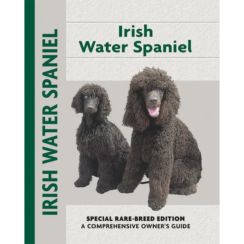 Irish Water Spaniel