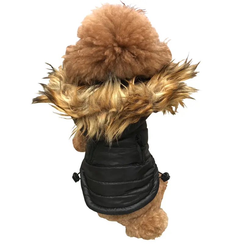 Ski Bunny Puffer with detachable hood, Shiny Black