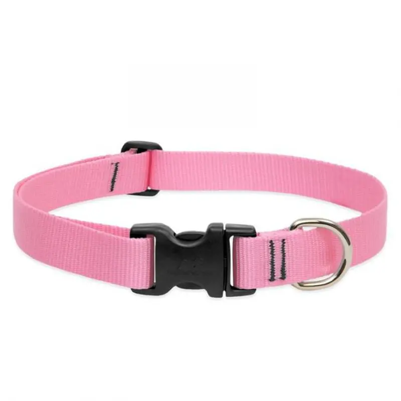 Lupine 1" Collar 16"- 28" Adj