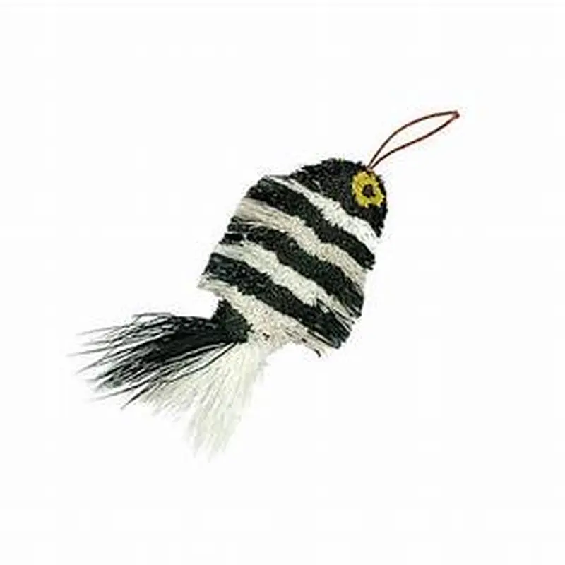 Go Cat Da Fish Zebra