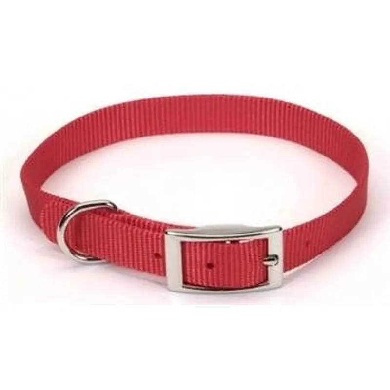 Coastal 3/4 inch x 16 inch Collar Red