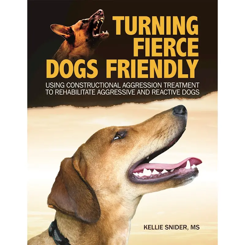 Turning Fierce Dogs Friendly