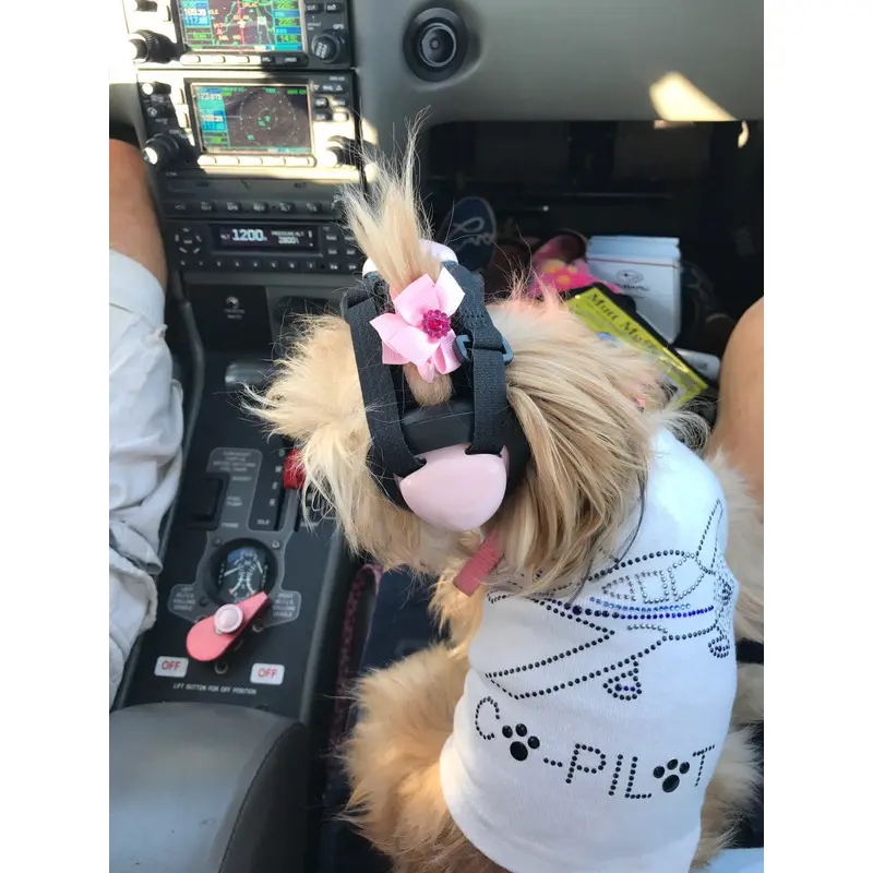 Co-Pilot Airplane (white) - Dog Tank