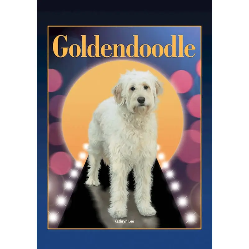 Goldendoodle (Designer Dog Series)