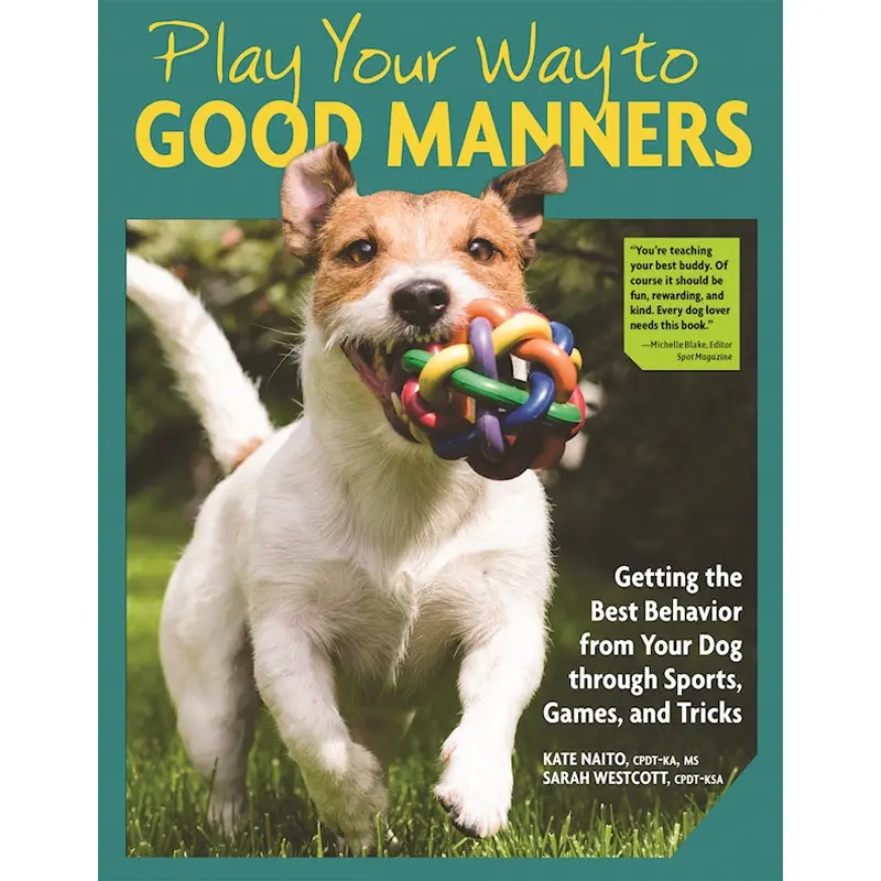 Play Your Way to Good Manners