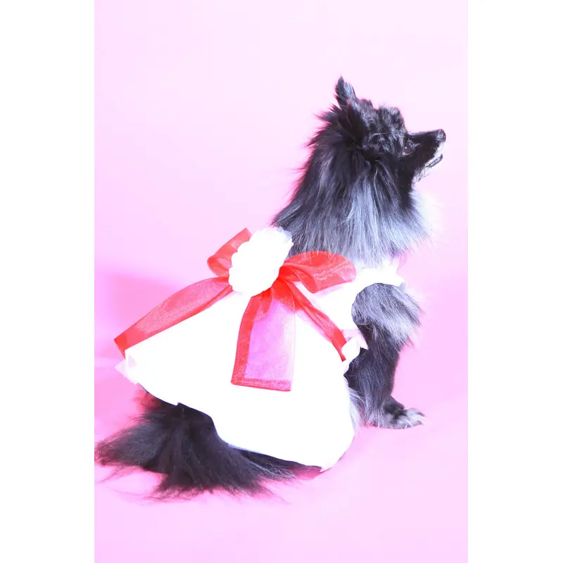 The Madeleine Harness Dog Dress with Red Sash