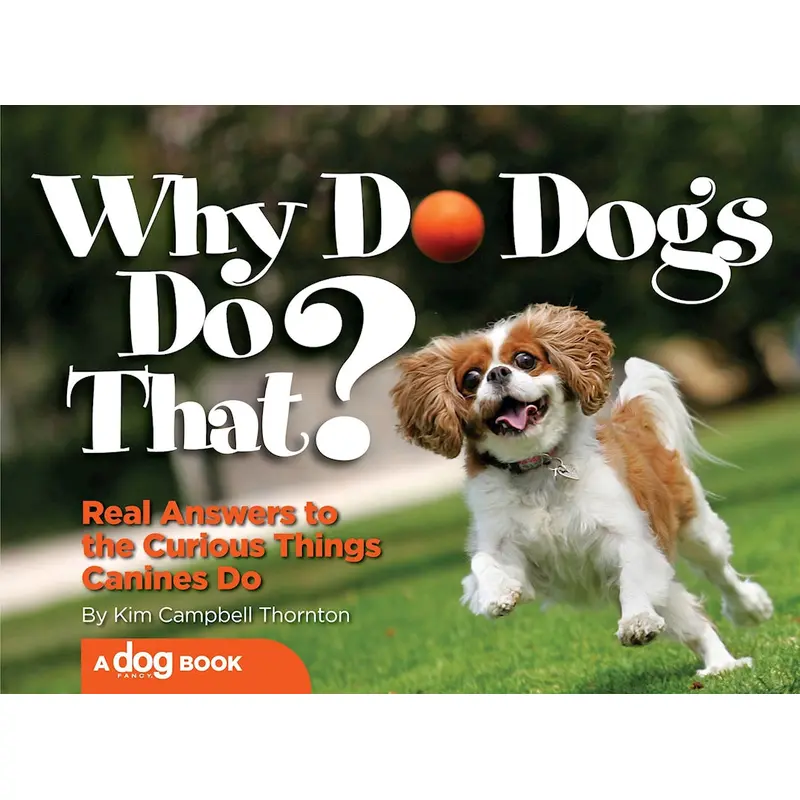 Why Do Dogs Do That?