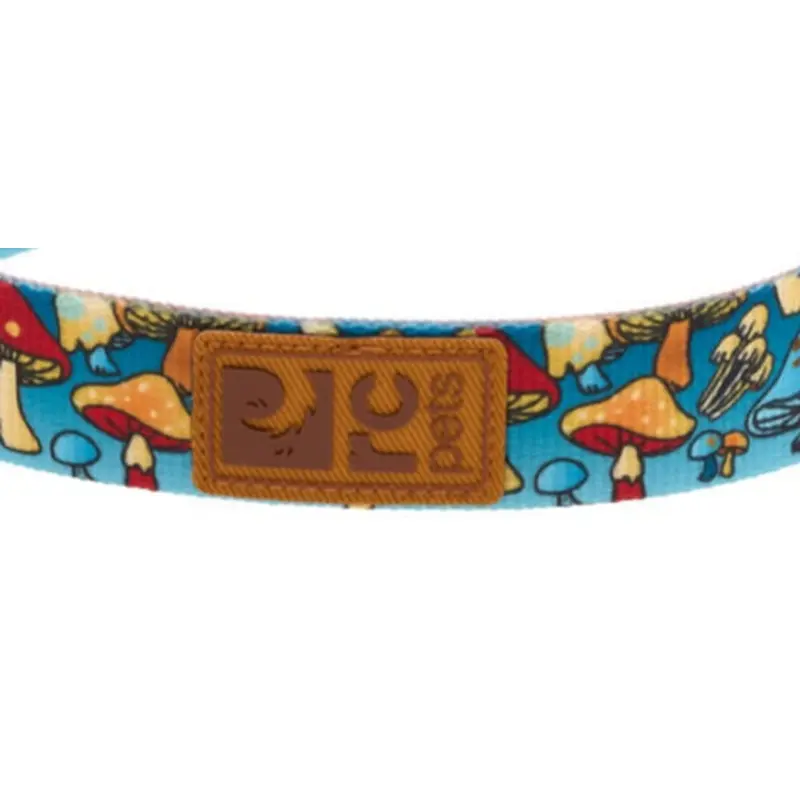 RC Pet Eco Dog Leash - 1" x 5' - Funky Fungi