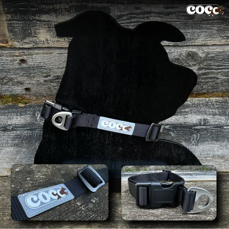 Canine Outdoor Adjustable Dog Collar Black