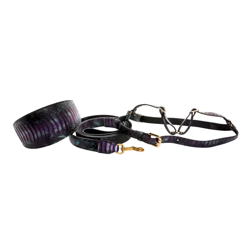 Black, Green, Purple Snake Wide Style Collar, Leash, Harness Set