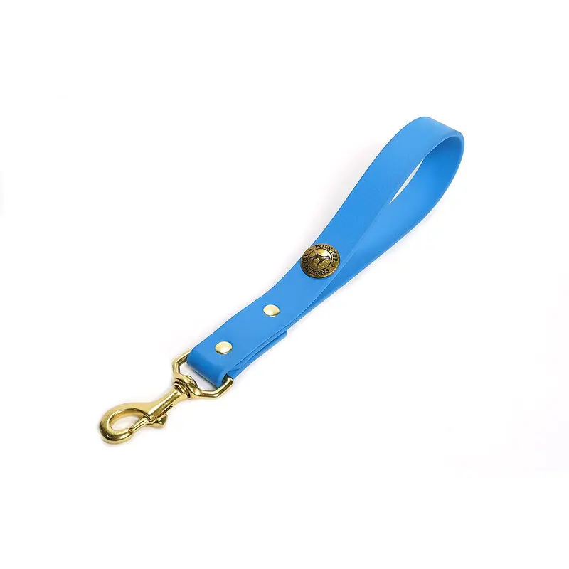 Sporting Dog Training Tab - Sky Blue