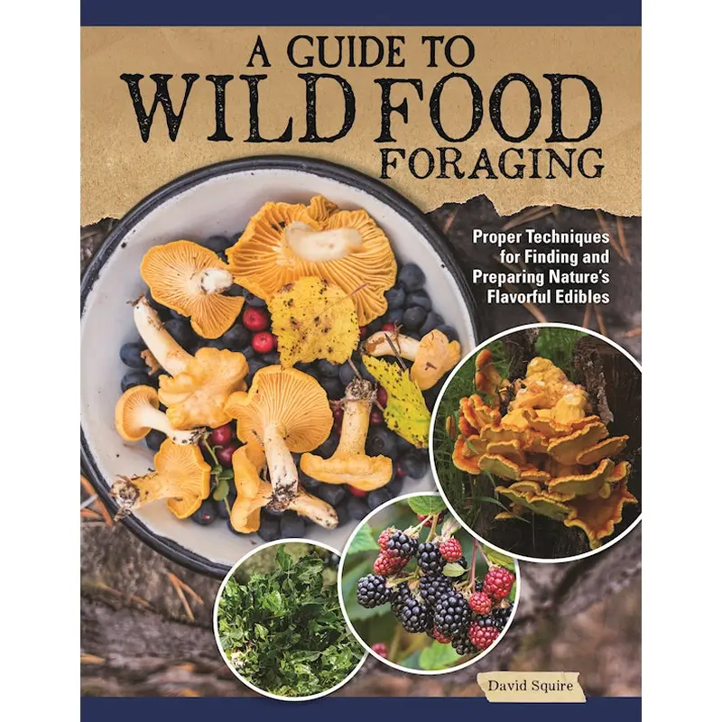 A Guide to Wild Food Foraging