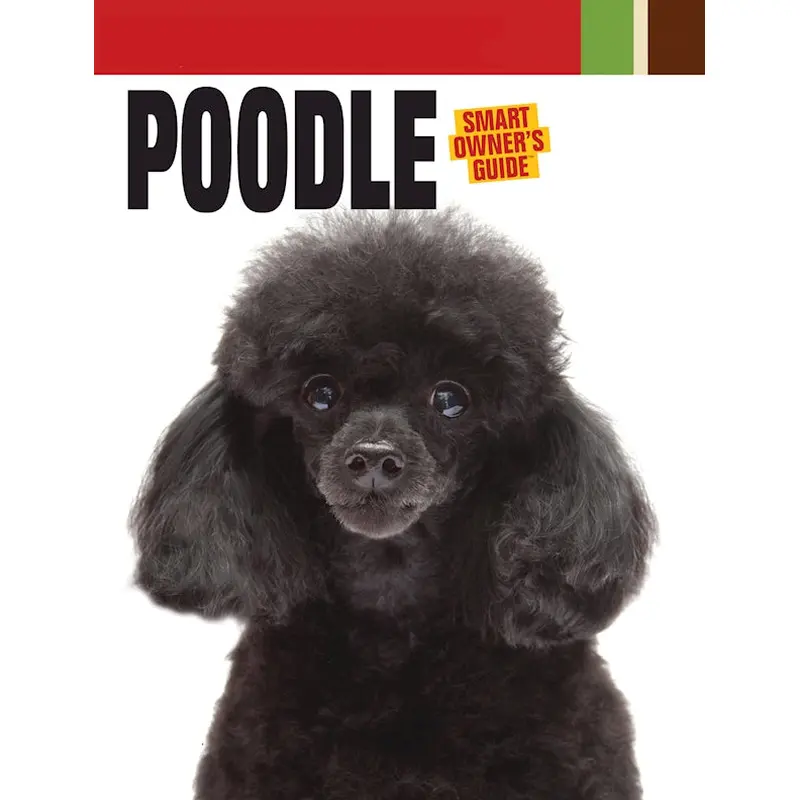 Poodle