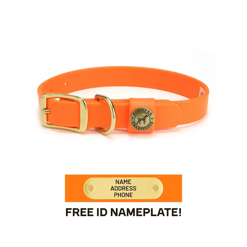 Sporting Dog Collar - Blaze Orange