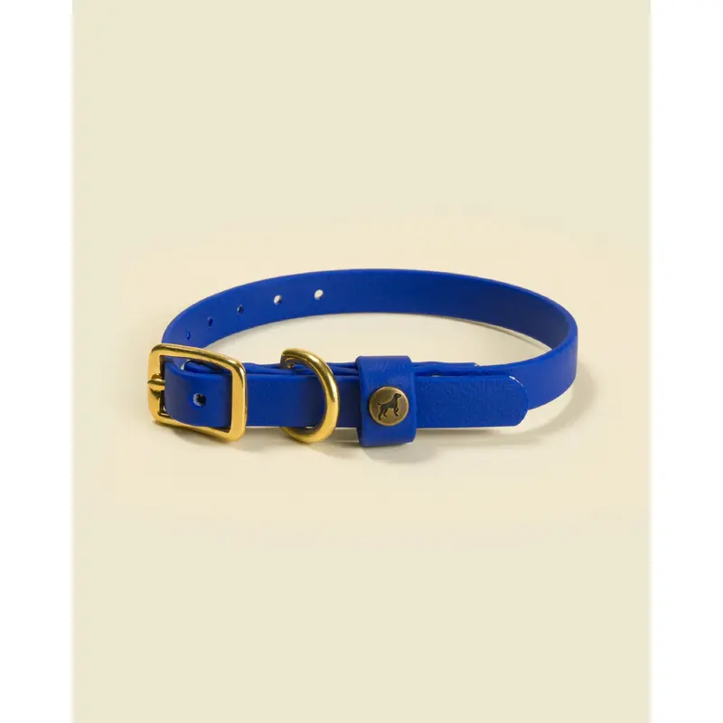 Sporting Puppy Collar - River Blue