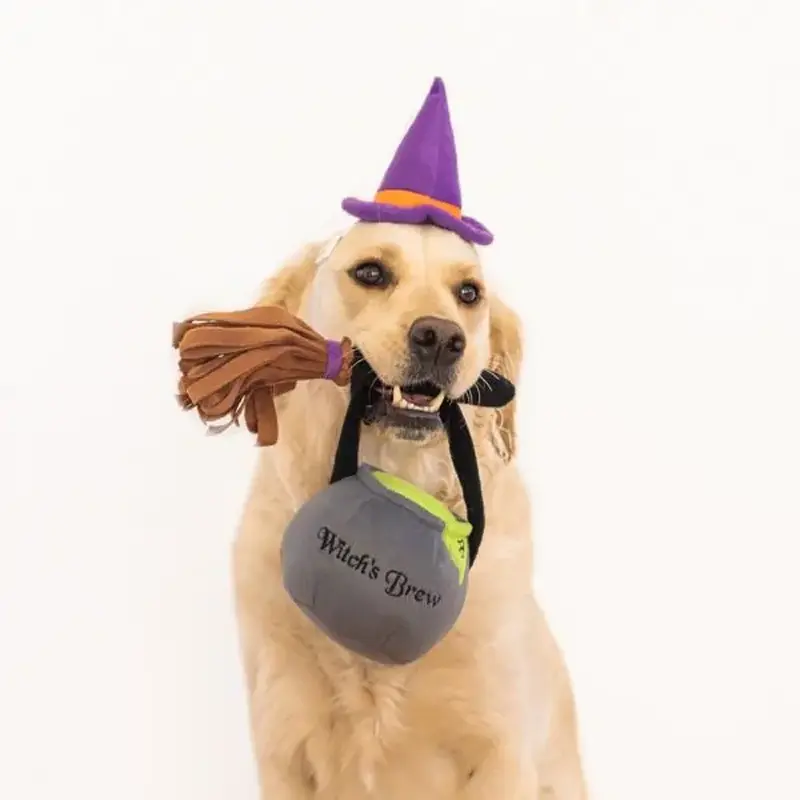 Zippy Paws Witch Halloween Costume Kit