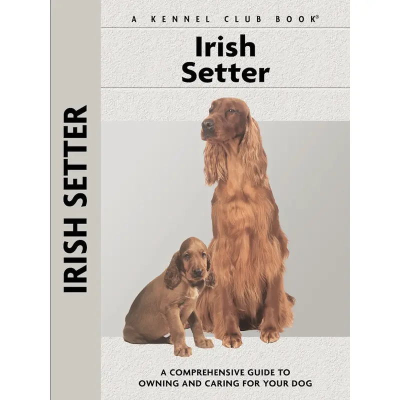 Irish Setter