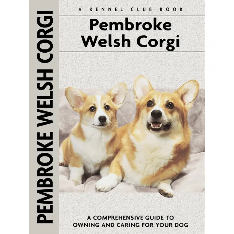 Pembroke Welsh Corgi