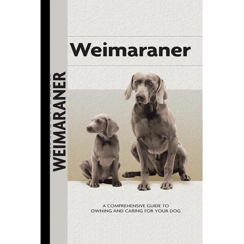 Weimaraner