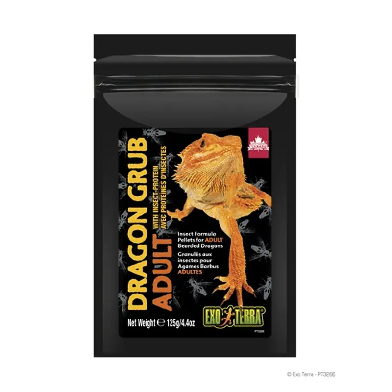 Exo Terra Dragon Grub Adult  4.4 oz