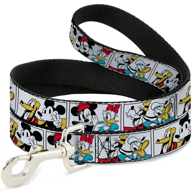 Dog Leash - Sensational Six Buddy Pose Blocks White/Multi Color