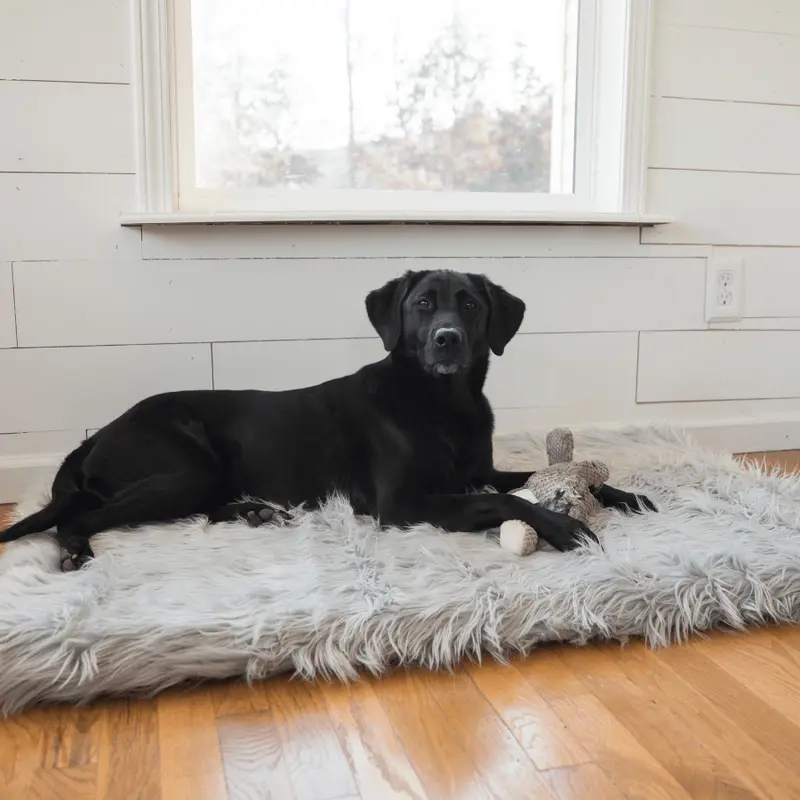 PupRug by Paw.com Faux Fur Orthopedic Dog Bed - Rectangle Grey