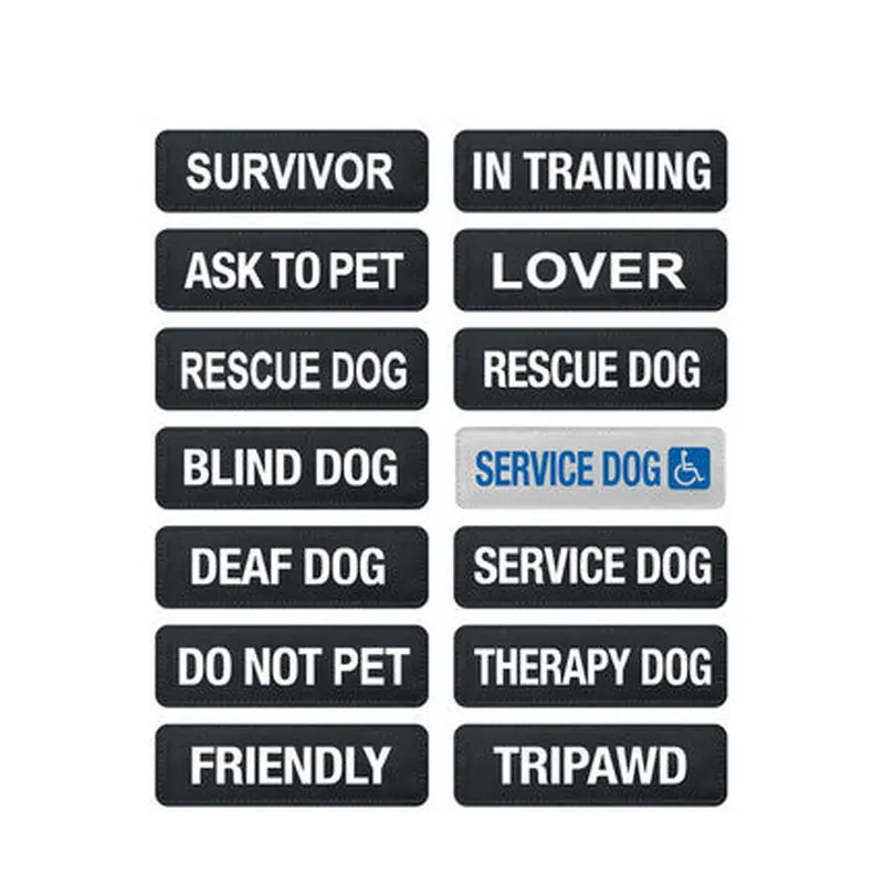 Ezydog Side Badge Ask to Pet For Dogs S
