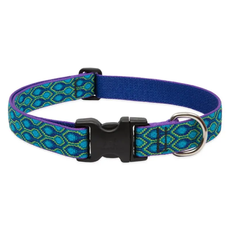 Lupine Pet Dog 1 In Wide 12-20 In Adjustable Collar Original Designs Ra In Song