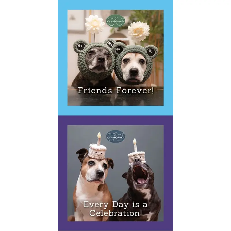 Sookie and Ivy Gift Book Set