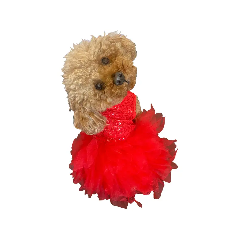 Grand Entrance Allover Sequins Tutu in Red