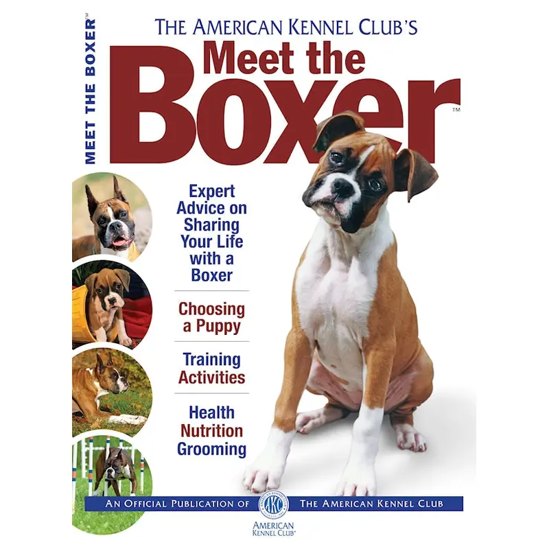 Meet the Boxer