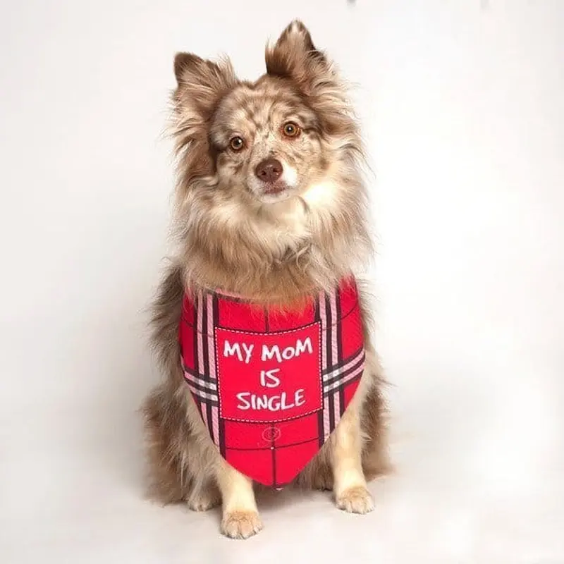 My Mom Is Single Dog Bandana by Dog Fashion Living